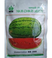 Watermelon NS 295